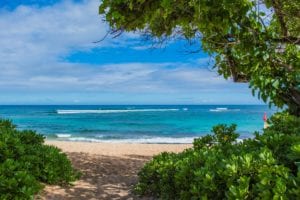 Haleiwa Beaches