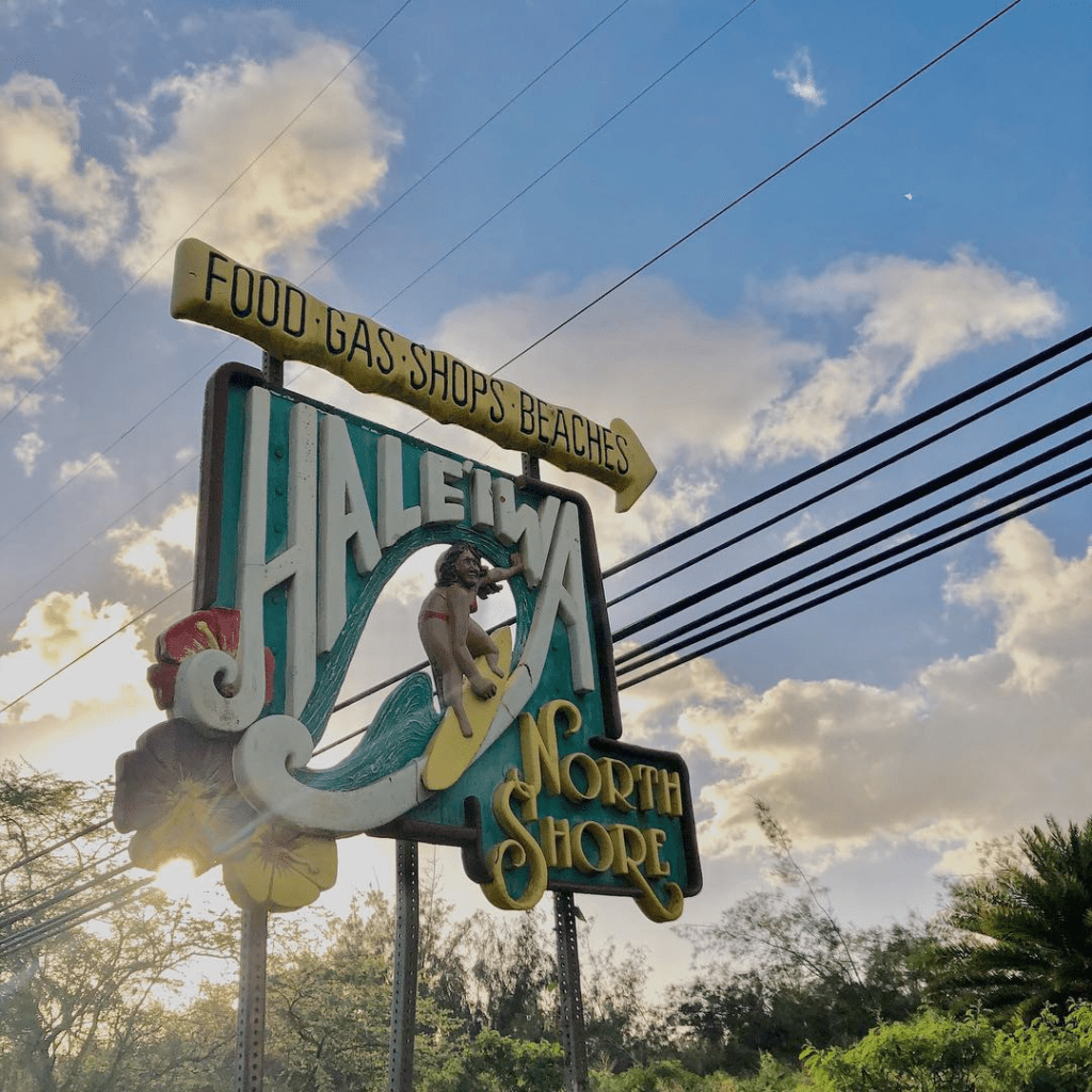 Top Things to Do In The North Shore Of Oahu (Haleiwa)